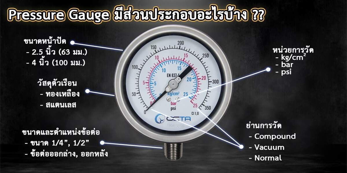 pressure gauge_เกจวัดแรงดัน_wika_nuovafima_octa